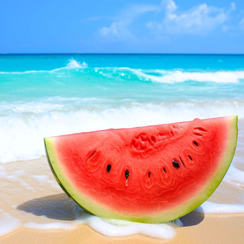 夏季休業のお知らせ