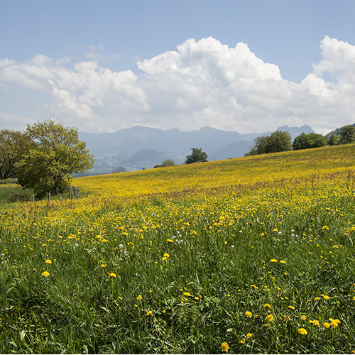 ゴールデンウィーク休業のお知らせ